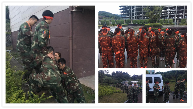 专注早教，释放所有能量